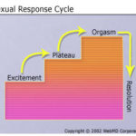 Adventures in Woman-Centered Sexuality: A Critique of Masters & Johnson’s Human Sexual Response Cycle