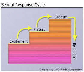 Adventures in Woman-Centered Sexuality: A Critique of Masters & Johnson’s Human Sexual Response Cycle